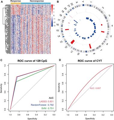 MeImmS: Predict Clinical Benefit of Anti-PD-1/PD-L1 Treatments Based on DNA Methylation in Non-small Cell Lung Cancer